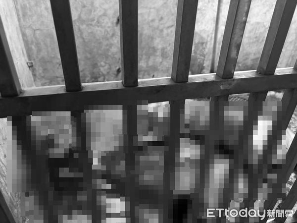 ▲▼             屏東一隻被關在籠內的米克斯，被鄰居刺死。（圖／Threads@xianwen.li授權提供）