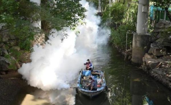 ▲廣東江門基孔肯雅熱疫情再起，全市進行大規模消毒工作。（圖／翻攝微博）