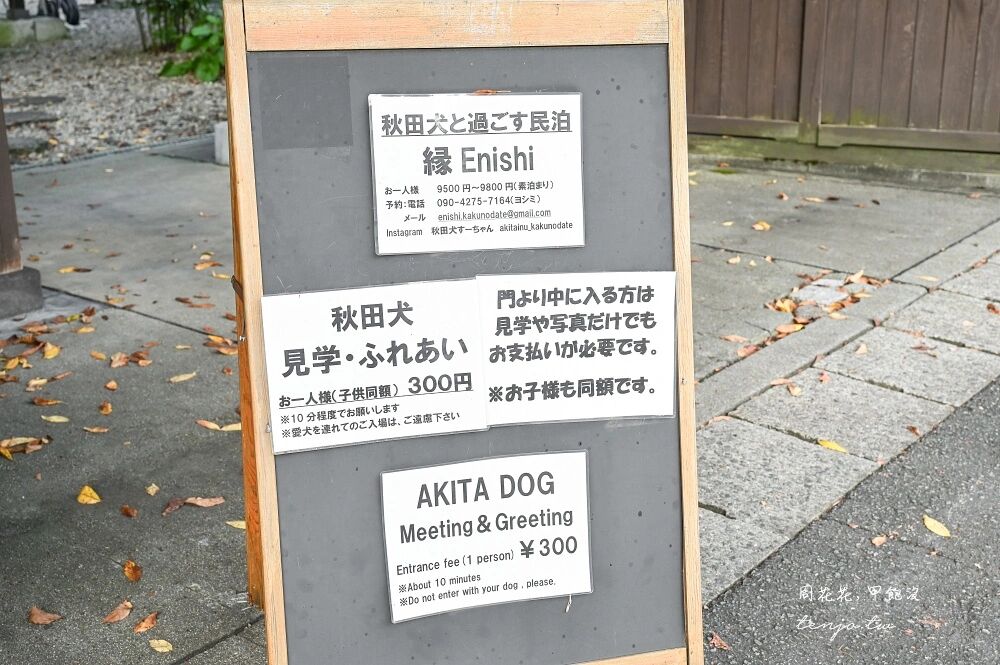▲▼50年古民家改建和秋田犬互動還能帶去散步 。（圖／部落客周花花提供）