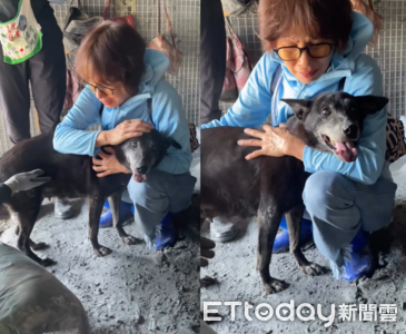 阿嬤來了!16歲歐告受困4天回到主人身邊 立刻鑽懷裡燦笑