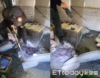 三兄弟挖2小時救出16歲黑狗 家也受災「但感謝各路英雄超人」