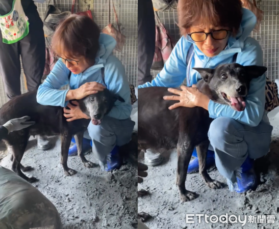 16歲狗狗與飼主團圓。（圖／Threads@420walkingday提供）