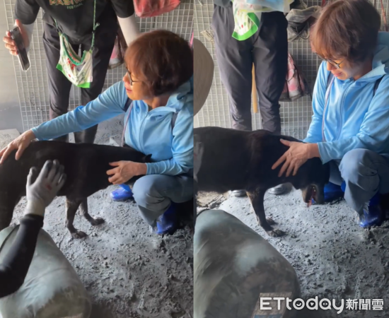 16歲狗狗與飼主團圓。（圖／Threads@420walkingday提供）