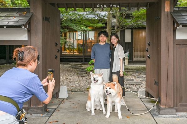 ▲▼50年古民家改建和秋田犬互動還能帶去散步 。（圖／部落客周花花提供）