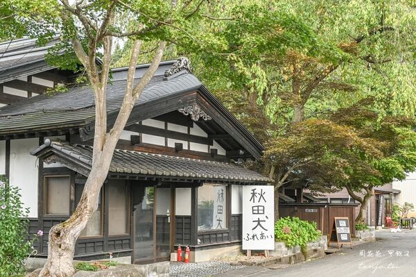 ▲▼50年古民家改建和秋田犬互動還能帶去散步 。（圖／部落客周花花提供）