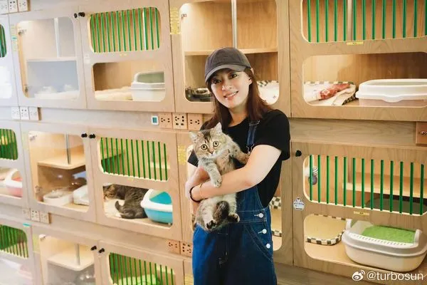 ▲孫儷曬健康餐登上微博熱搜第一。（圖／翻攝自微博／孫儷）