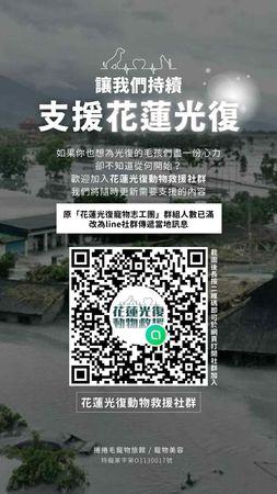 ▲花蓮光復動物救援提供