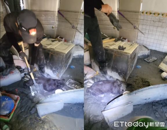 泥巴中挖出16歲黑狗。（圖／網友林明哲提供）