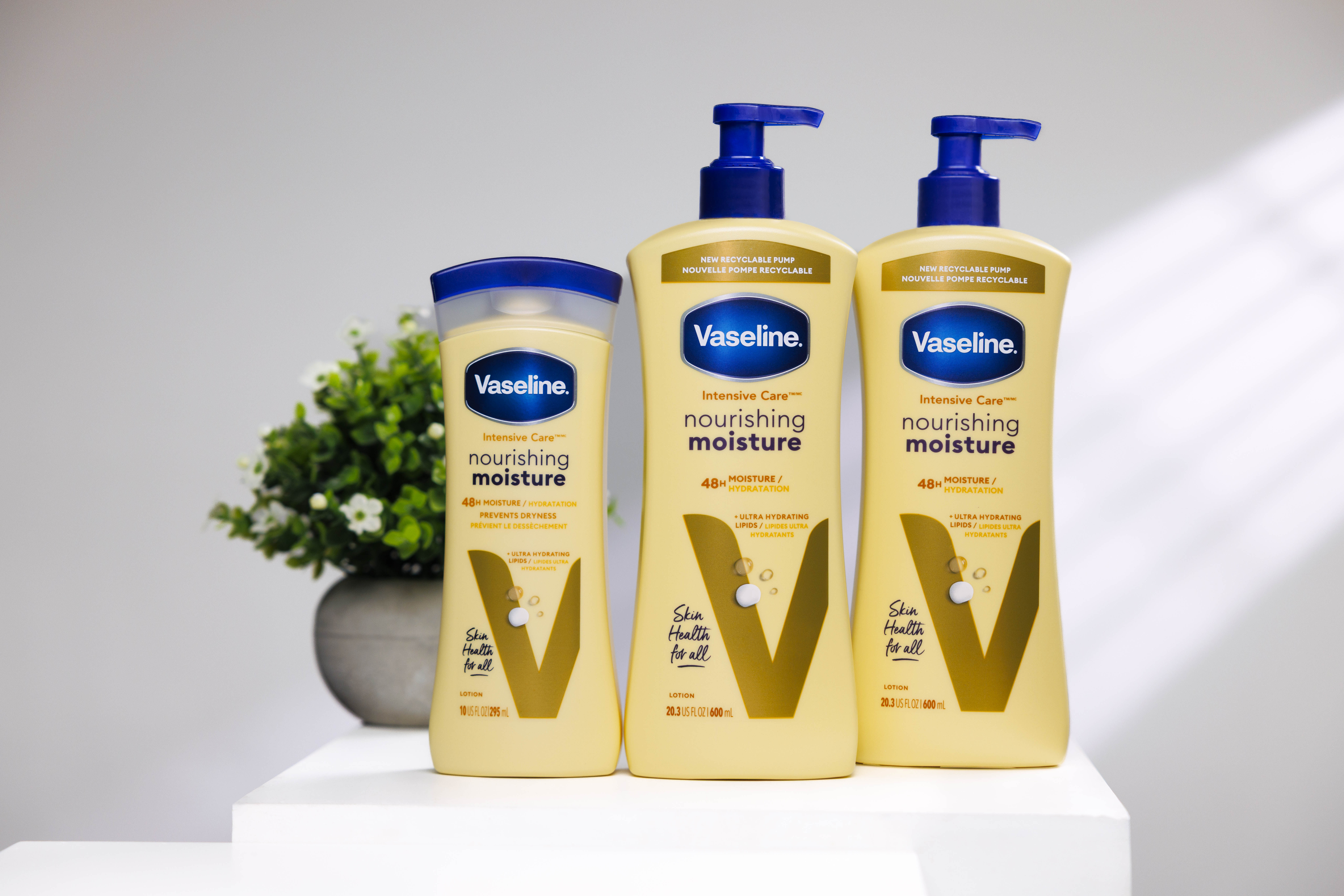 ▲▼       VSL      。（圖／VSL ）