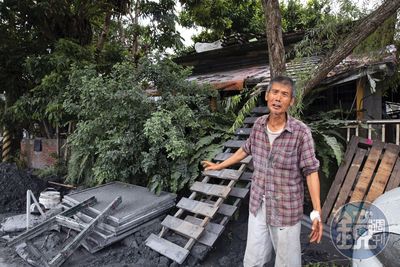 讓光復成為動詞!我沒救人 是龍眼樹救的