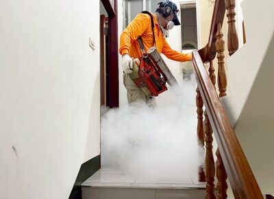 桃園本土登革熱新增3例累計4例　市府啟動區級應變中心