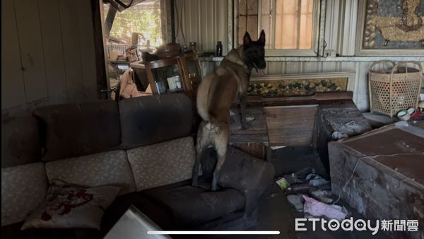 ▲台南市消防局特搜隊9月25日趕赴花蓮支援堰塞湖災情，28日晚間平安返抵。（記者林東良翻攝，下同）