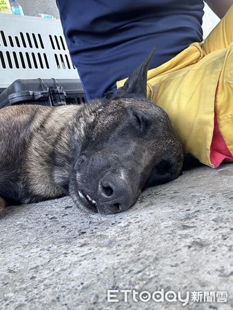 ▲台南市特搜隊支援花蓮堰塞湖災情，28日晚間平安返抵台南。（記者林東良翻攝，下同）