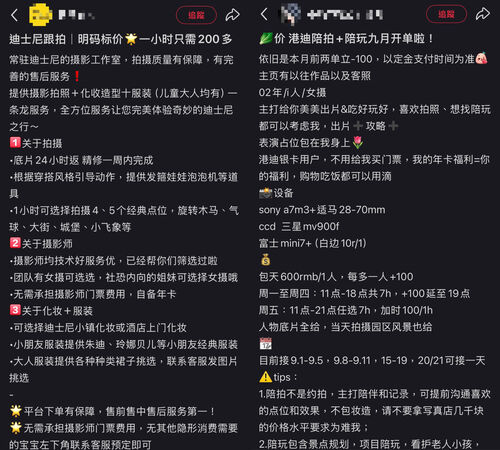 ▲▼許多香港迪士尼陪拍難以判別是否合法。（圖／翻攝小紅書）