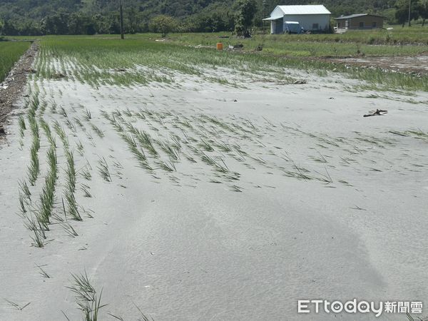 ▲▼馬太鞍溪,災民,農田。（圖／記者許權毅攝）