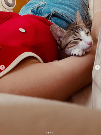 ▲▼米可白。（圖／翻攝自Instagram／mimi00419）