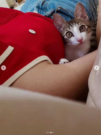 ▲▼米可白。（圖／翻攝自Instagram／mimi00419）