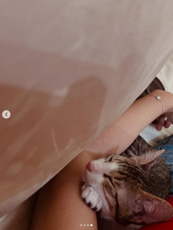 ▲▼米可白。（圖／翻攝自Instagram／mimi00419）