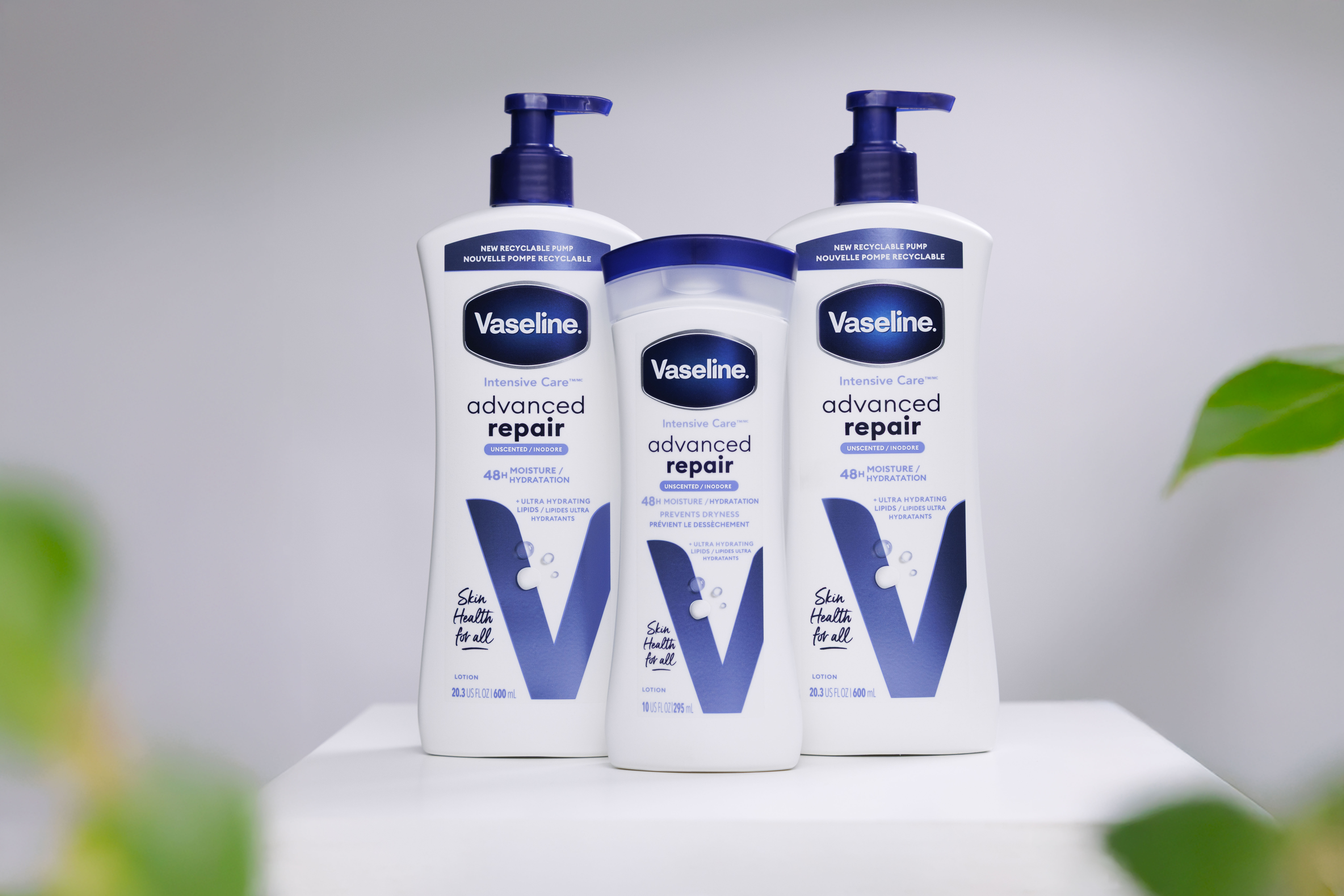 ▲▼       拒入秋乾癢！凡士林潤膚露「3瓶300元有找」      。（圖／業者）