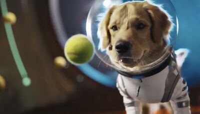 深夜放大招！OpenAI發布Sora 2　正式開啟「AI導演」時代