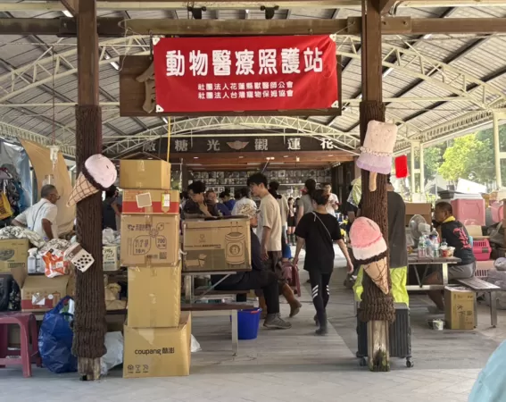 ▲花蓮光復動物救援。（圖／花蓮光復動物救援志工團隊提供）