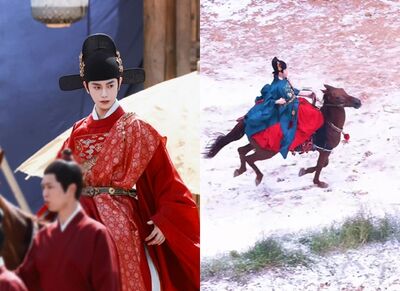 丁禹兮拍戲「馬匹突失控暴衝」!險被甩下馬爆意外 驚險15秒全被拍