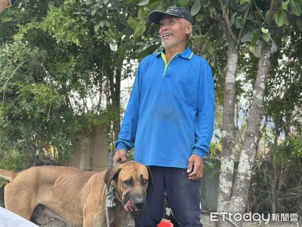 ▲▼陳德財,高山犬,花蓮,馬太鞍溪。（圖／記者許權毅攝）