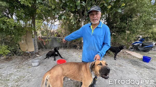 ▲▼光復,阿陶莫,災區,狗。（圖／記者陳以昇攝）