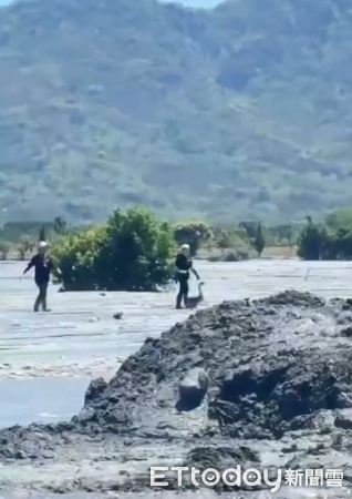 光復鵝得救。（圖／網友@syuanstory、壽豐豐田小隊旻軒（豐田梁朝偉）提供）