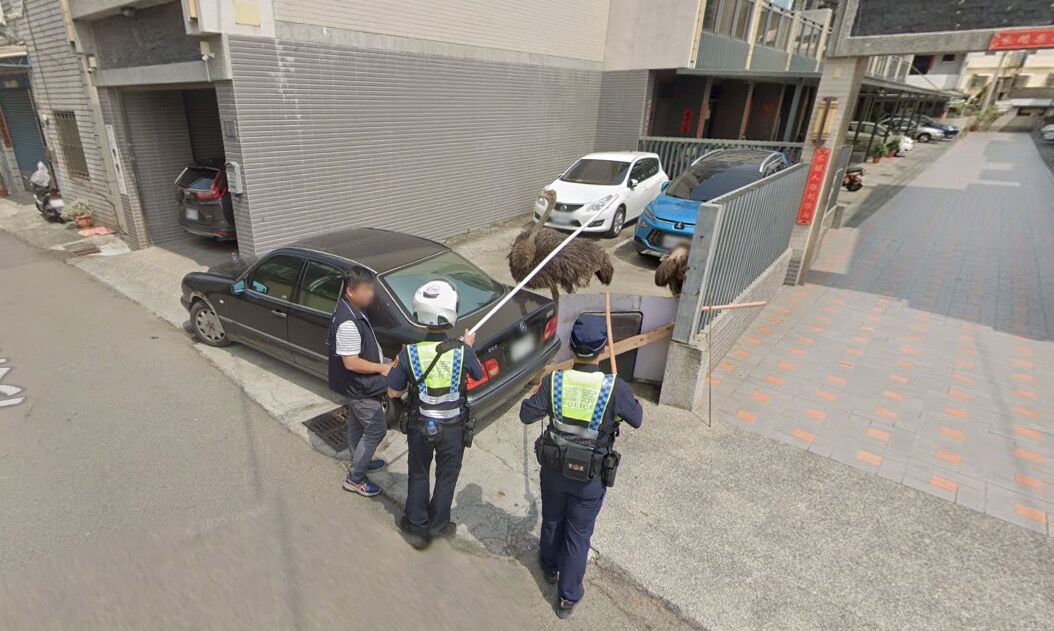 ▲▼警察圍捕鴕鳥的畫面被Google街景車拍下。（圖／翻攝Google Map）