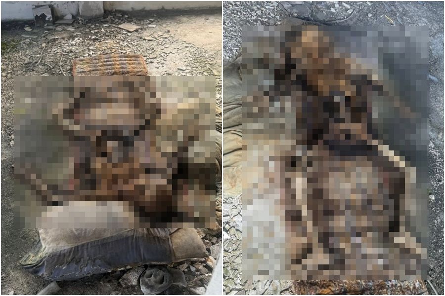 ▲▼             。（圖／翻攝自Facebook）