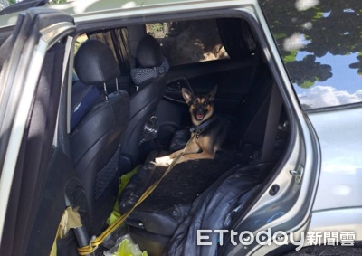奇蹟！救災第八天「車上找到倖存狗狗」　志工救援急送醫