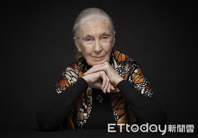 快訊/珍古德博士辭世「享壽91歲」!研究所發文證實
