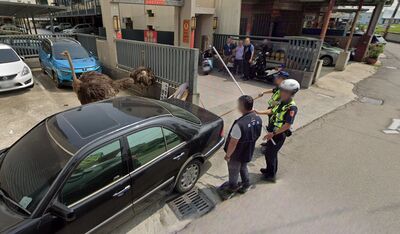 台灣特殊Google街景！　員警「圍捕鴕鳥」全入鏡