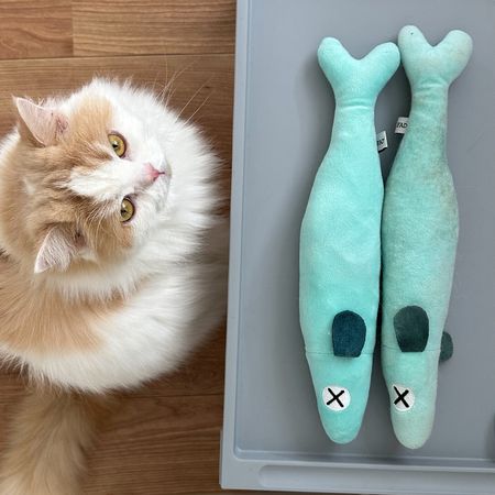 ▲。（圖／翻攝自X／@/Lemon0517ch）