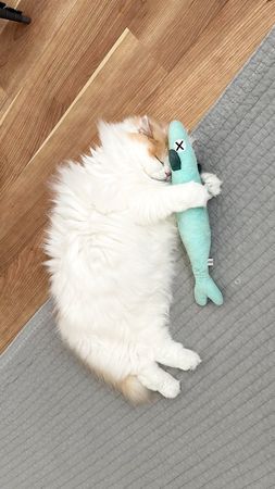 ▲。（圖／翻攝自X／@/Lemon0517ch）