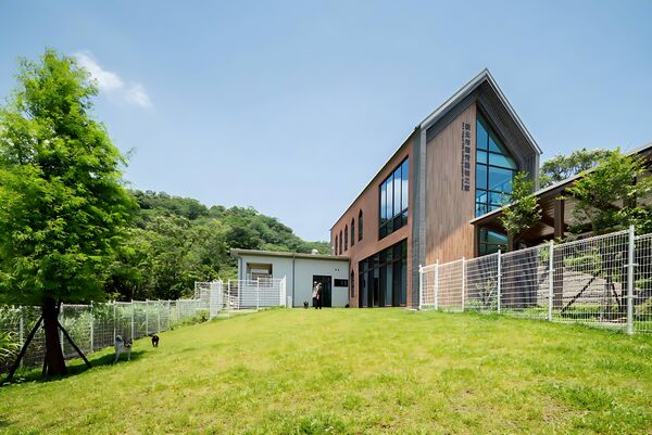 ▲新北動保推黑狗認養 加碼送沙龍照珍藏愛。（圖／新北市動保處提供）