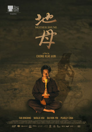 ▲▼范冰冰隔9年入圍金馬首發聲。（圖／翻攝自微博）