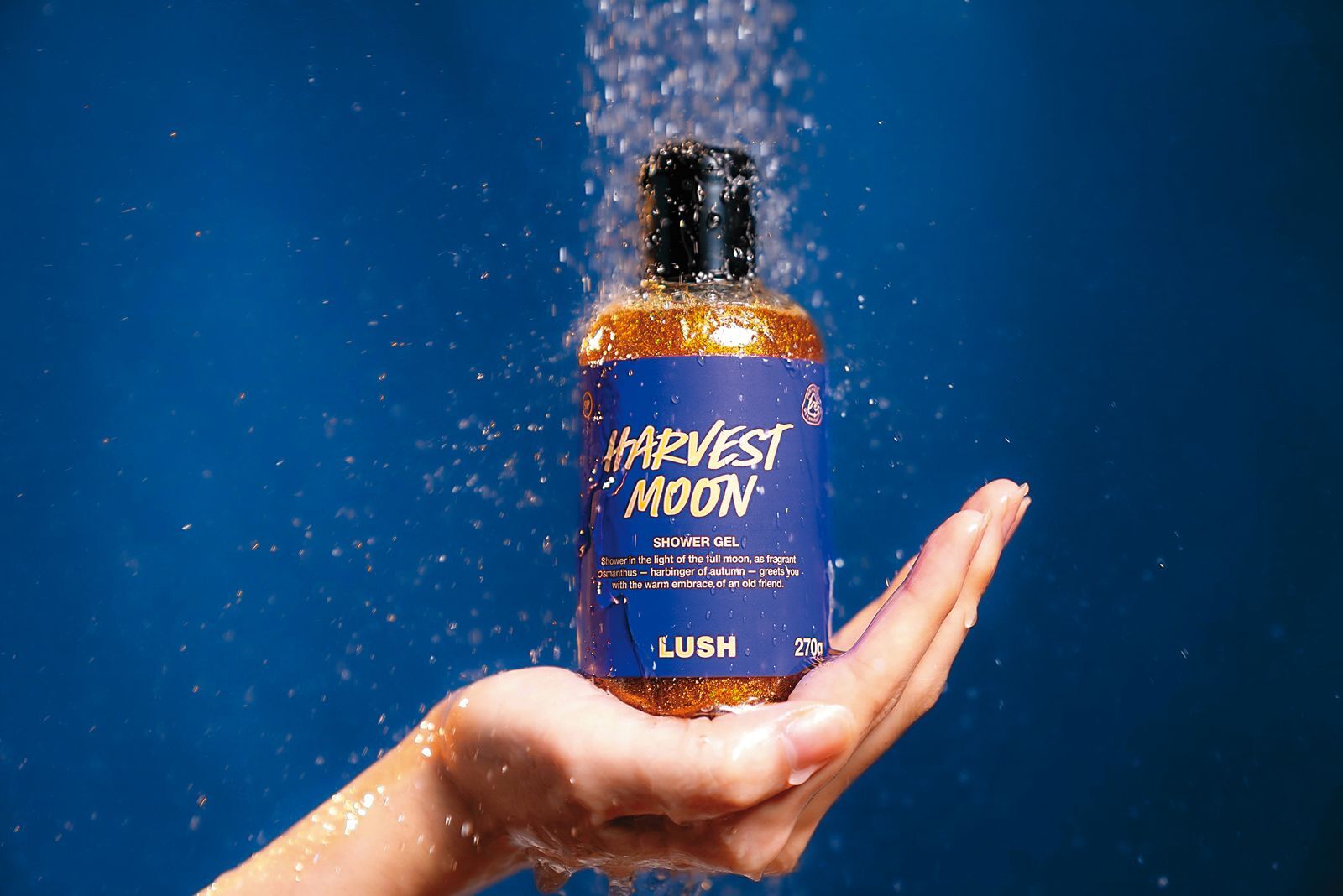 靚鑑賞／月亮請上桌