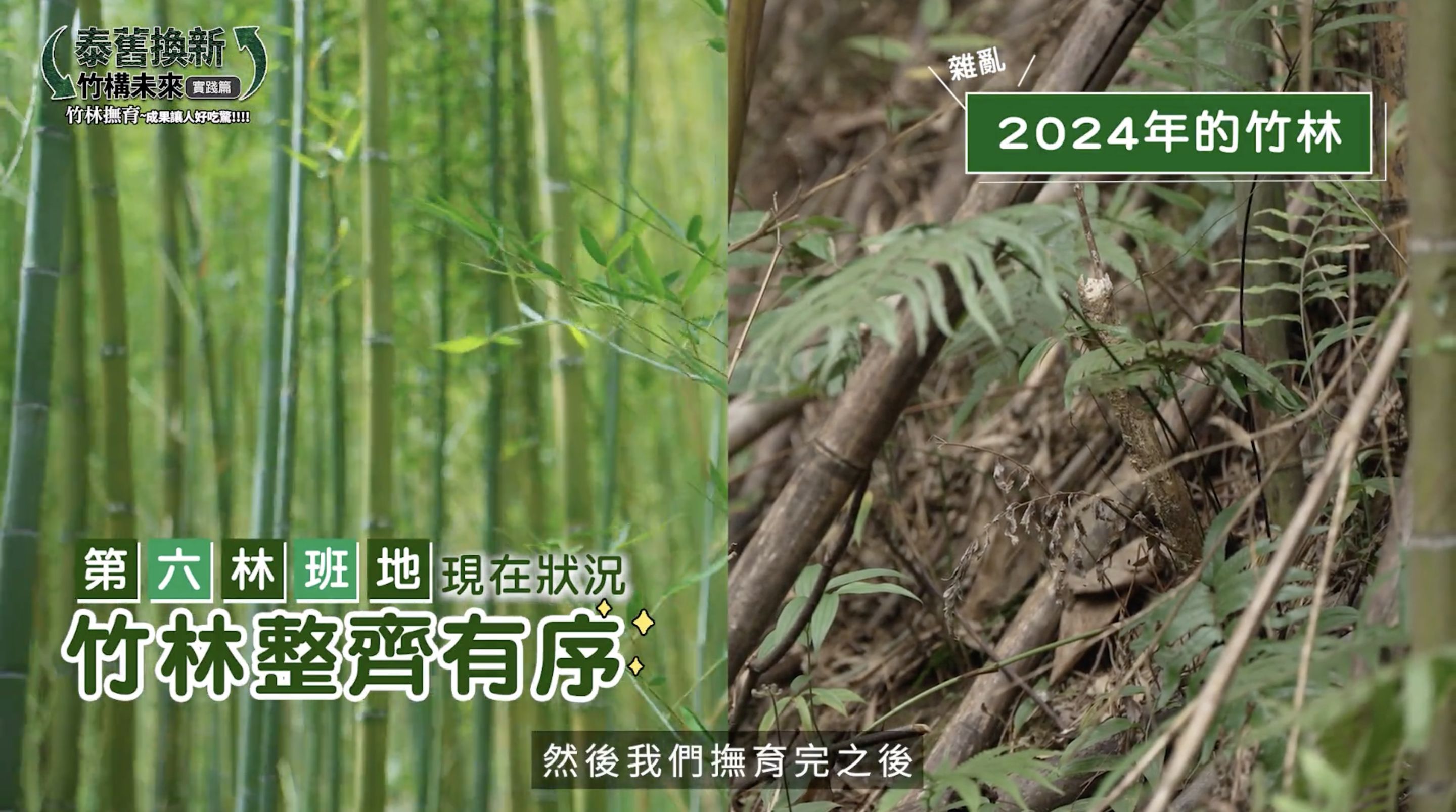 ▲▼中華電信,竹構未來,泰雅,竹子,青年,產業,永續,ESG,小薰,竹筒飯,文化。（圖／翻攝自影片）