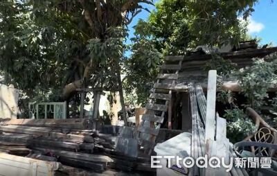 屋主摘龍眼梯子沒收！助25人3童2貓爬屋頂逃劫　救命神梯曝光