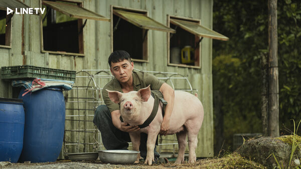 ▲影集《黑盒子》將在10月31日開播。（圖／LINE TV提供）