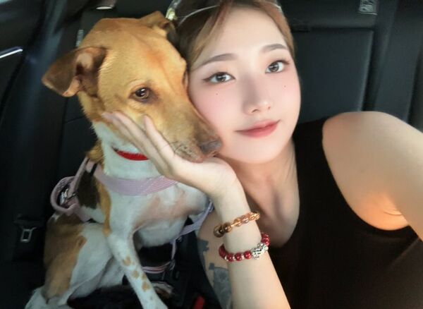 災區狗狗Lucy。（圖／翻攝自三牲工作室、飼主@xhc_192提供）