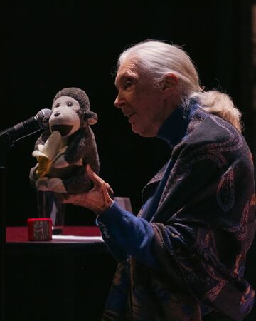 珍古德。（圖／翻攝自粉專Dr. Jane Goodall）
