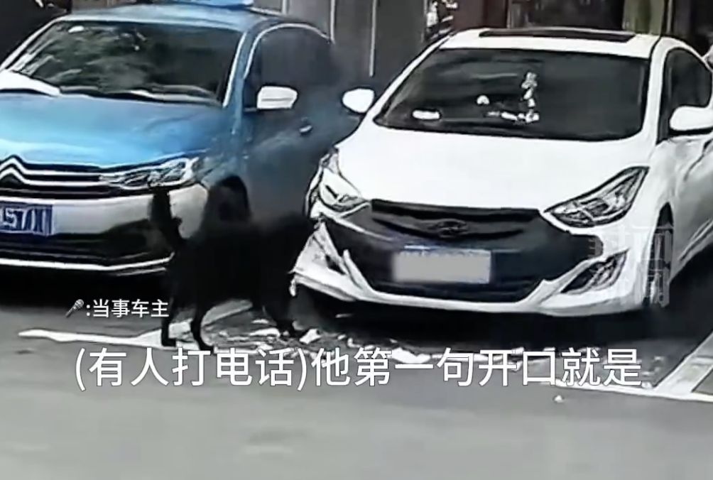 ▲湖南一名女子的車輛包膜被一條黑狗咬爛。（圖／翻捨微博）