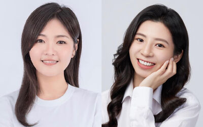 2026議員點將/台南藍拚世代交替、綠仍低調 88槍案王文宗女參選