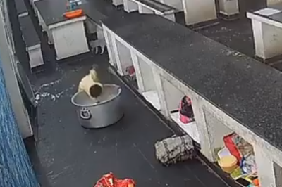 印度女童在學校「跌入熱牛奶鍋」喪命 監視器畫面全錄下