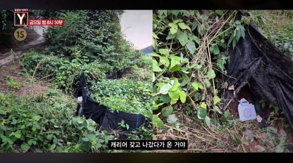 ▲▼南韓30萬網紅生前最後身影曝光，犯人是VIP粉絲 。（圖／翻攝自SBS）