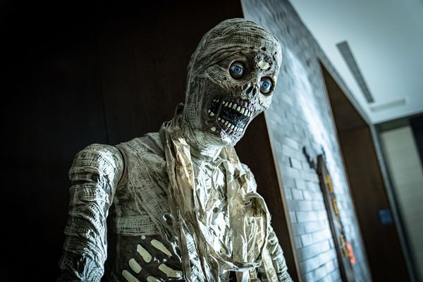 ▲桃園大溪笠復威斯汀度假酒店萬聖節今年「威斯汀萬聖寶藏島」為主題，即日起至11月16日再度登場。（圖／業者提供）