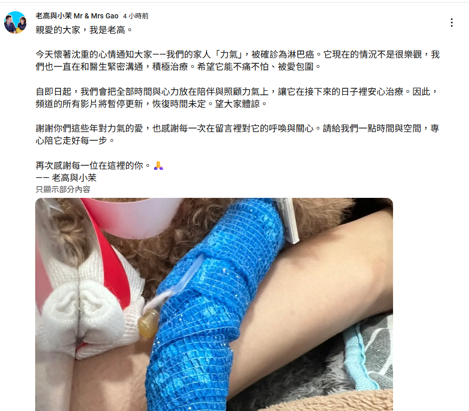 ▲▼老高。（圖／翻攝自YouTube／帳號名稱）